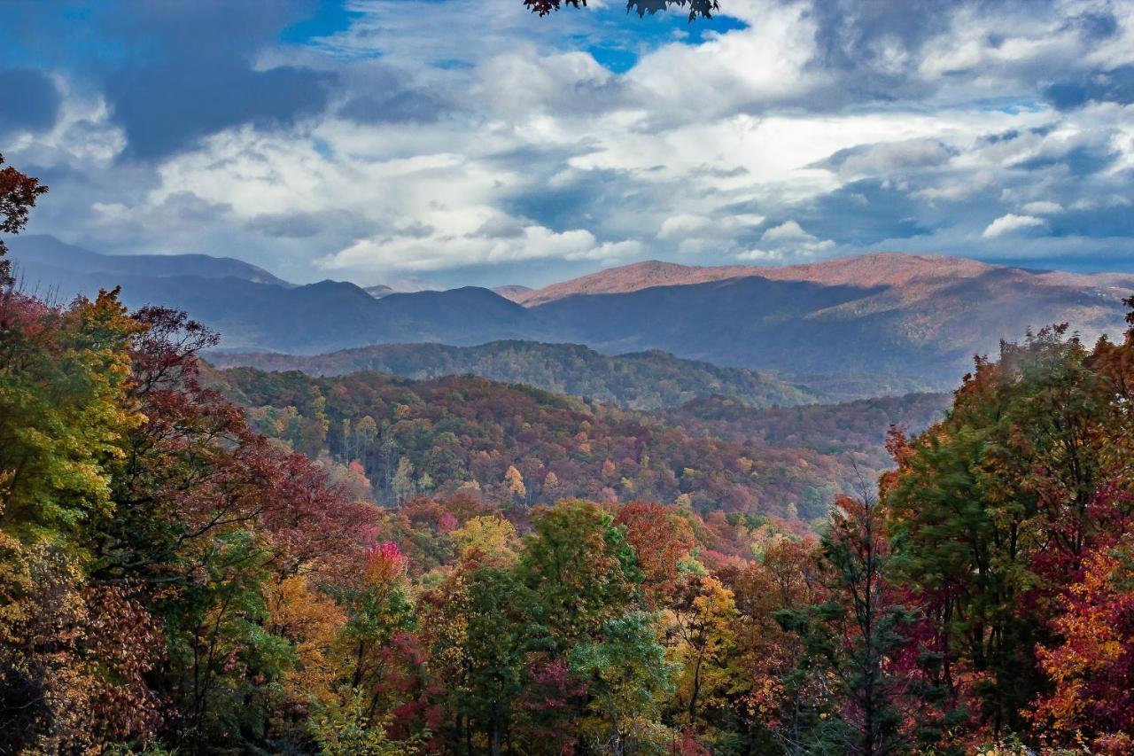 Вилла Bluebearry Patch Гатлинбург Экстерьер фото