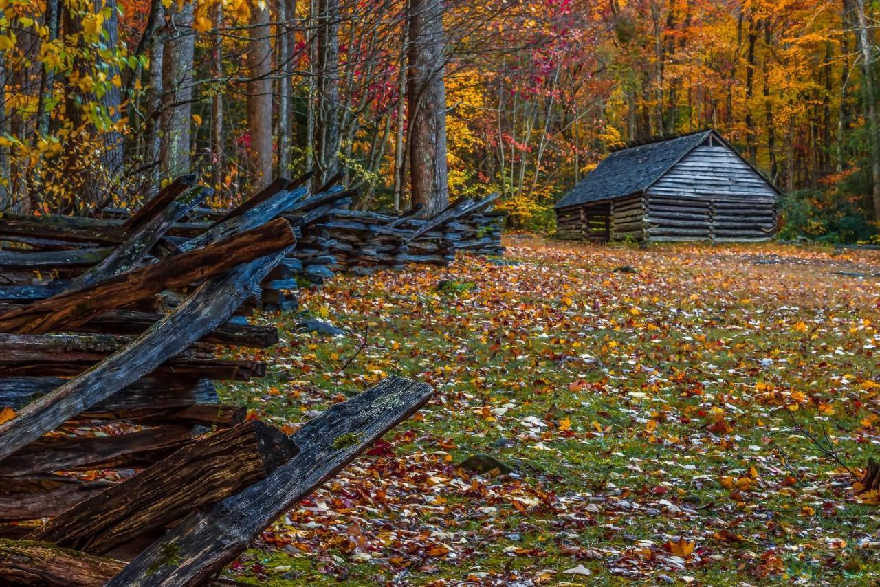 Вилла Bluebearry Patch Гатлинбург Экстерьер фото